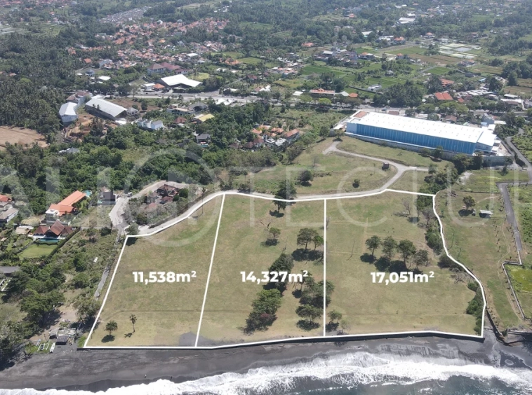 Expansive 42,916 m² freehold beachfront land for sale in Saba Beach, Bali, divided into three plots with direct access to the black-sand beach, surrounded by a tranquil undeveloped landscape in a Pink Zone tourism area.