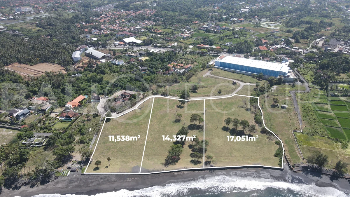 Expansive 42,916 m² freehold beachfront land for sale in Saba Beach, Bali, divided into three plots with direct access to the black-sand beach, surrounded by a tranquil undeveloped landscape in a Pink Zone tourism area.