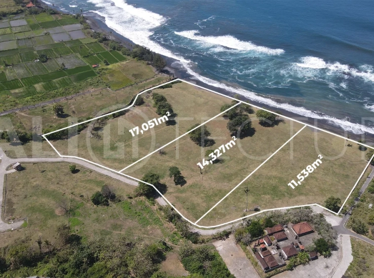 Expansive 42,916 m² freehold beachfront land for sale in Saba Beach, Bali, divided into three plots with direct access to the black-sand beach, surrounded by a tranquil undeveloped landscape in a Pink Zone tourism area.