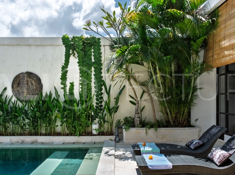3-bedroom ricefield view villa for sale in Seminyak, featuring a private swimming pool, tropical garden, spacious living areas, and a peaceful residential setting.
