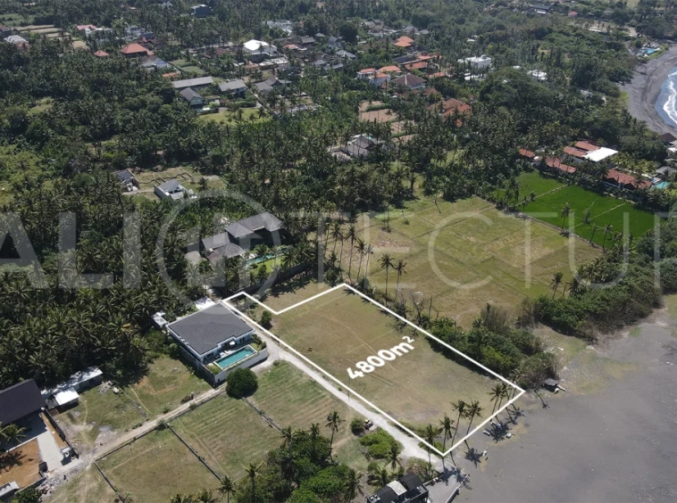 4,800 m² freehold beachfront land for sale in Saba Beach, Bali, directly overlooking the black-sand shoreline in a tranquil and undeveloped coastal setting.