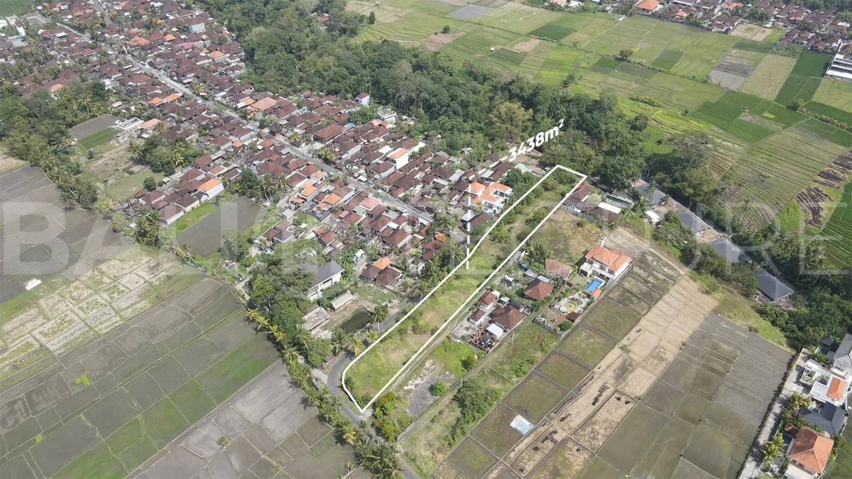 3,438 sqm east-facing riverside leasehold land in Kaba Kaba, Bali, surrounded by protected green-zone rice fields with panoramic river, rice terrace, and mountain views, featuring 4-meter asphalt road access and ideal for villa development.