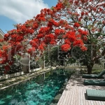 105 m² villa for sale near Jimbaran Beach featuring a tropical garden, outdoor bathtub, open-plan living and kitchen area, and direct access to an infinity pool.