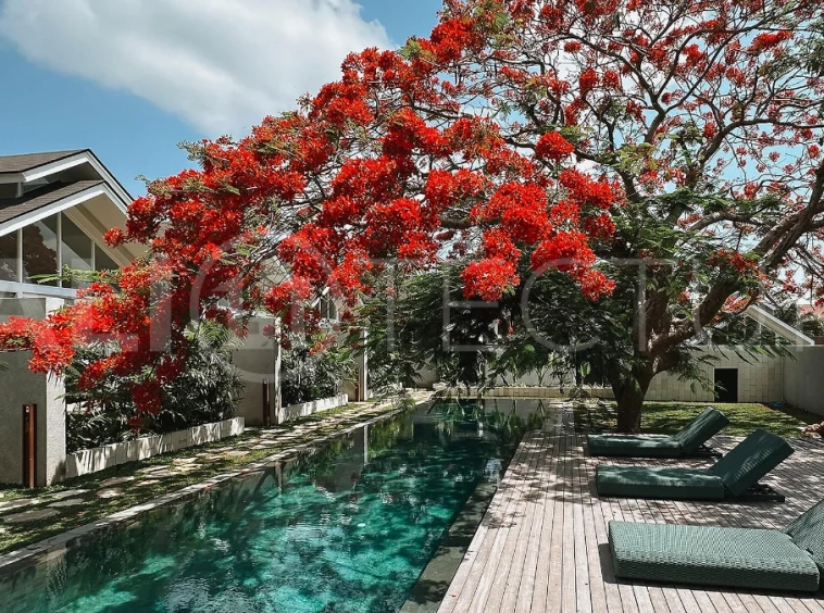 105 m² villa for sale near Jimbaran Beach featuring a tropical garden, outdoor bathtub, open-plan living and kitchen area, and direct access to an infinity pool.