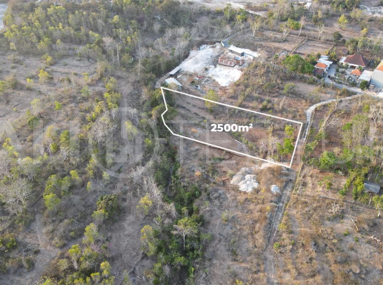 2,500 m² touristic zoning land for lease in Melasti, South Bali, with lush jungle surroundings, sloping terrain, 4-meter access road, and development potential near Melasti Beach.