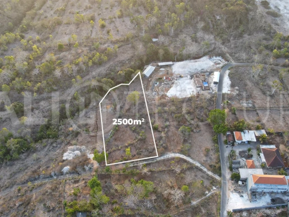 2,500 m² touristic zoning land for lease in Melasti, South Bali, with lush jungle surroundings, sloping terrain, 4-meter access road, and development potential near Melasti Beach.