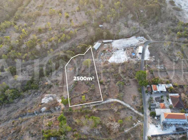 2,500 m² touristic zoning land for lease in Melasti, South Bali, with lush jungle surroundings, sloping terrain, 4-meter access road, and development potential near Melasti Beach.
