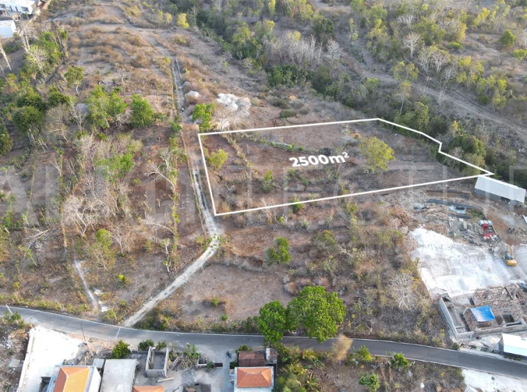 2,500 m² touristic zoning land for lease in Melasti, South Bali, with lush jungle surroundings, sloping terrain, 4-meter access road, and development potential near Melasti Beach.